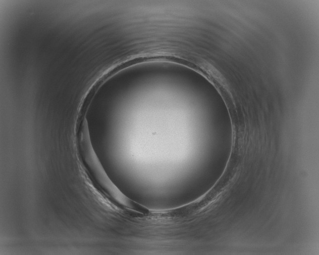 X0000073520789200608071120