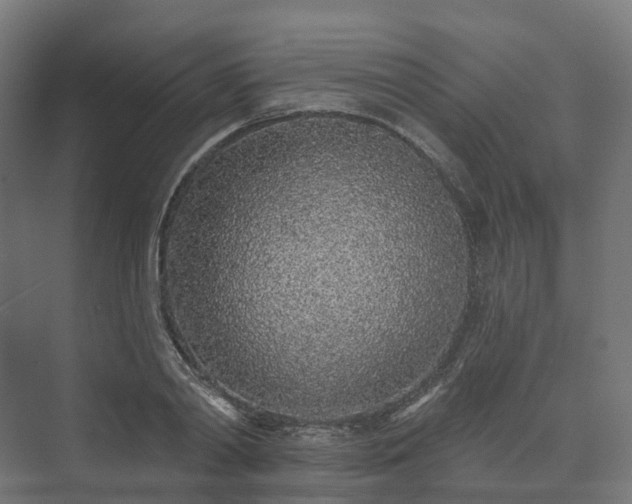 X0000073520790200608071120