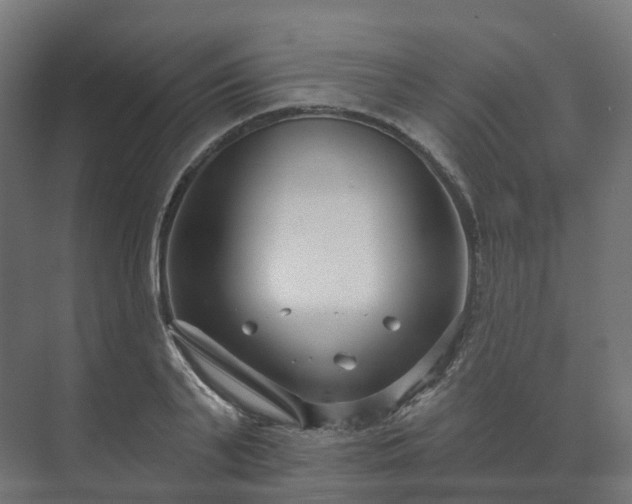 X0000073520791200608071120