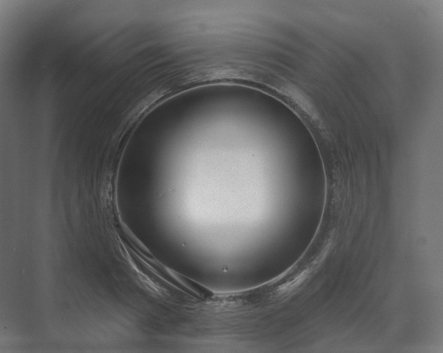 X0000073520793200608071120
