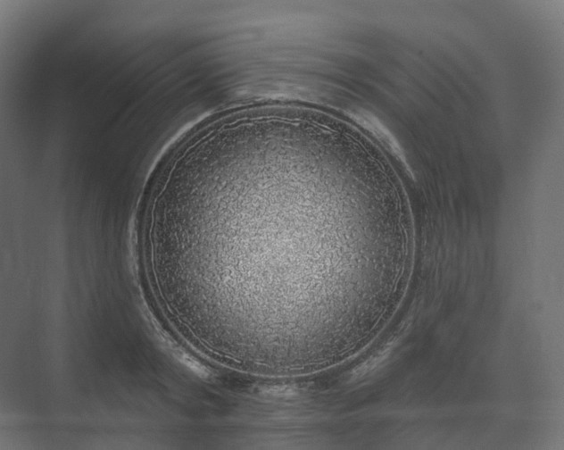 X0000073520798200608071120