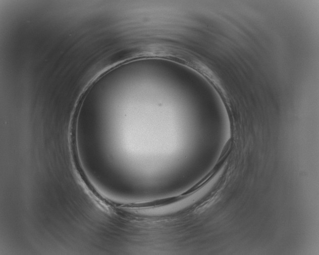 X0000073520803200608071120
