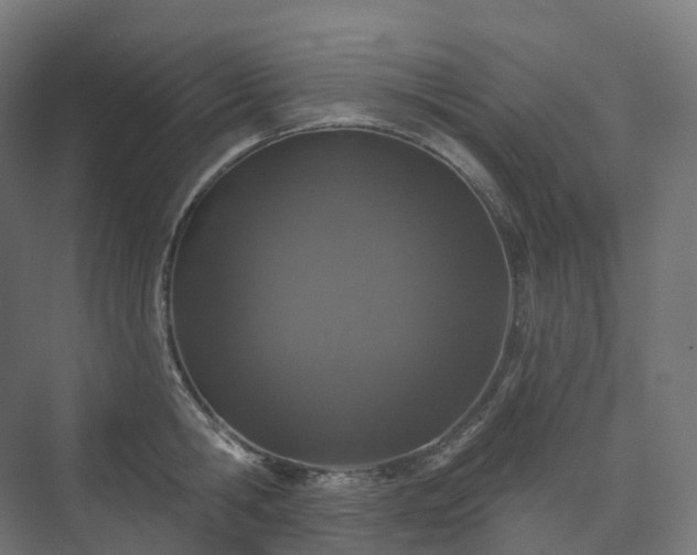 X0000073520806200608071120