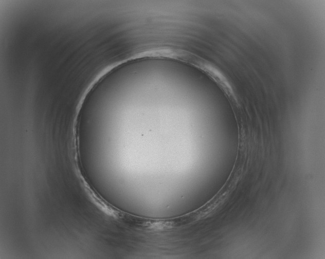 X0000073520808200608071120