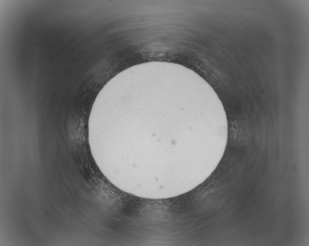 X0000073520820200608071119