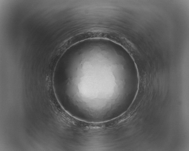 X0000073520821200608071119