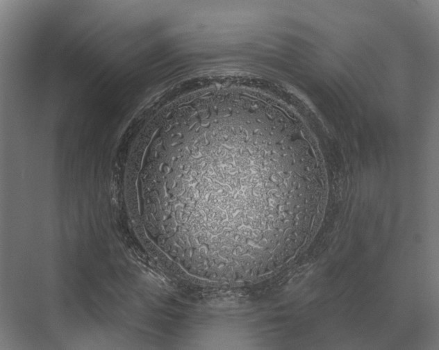 X0000073520823200608071119