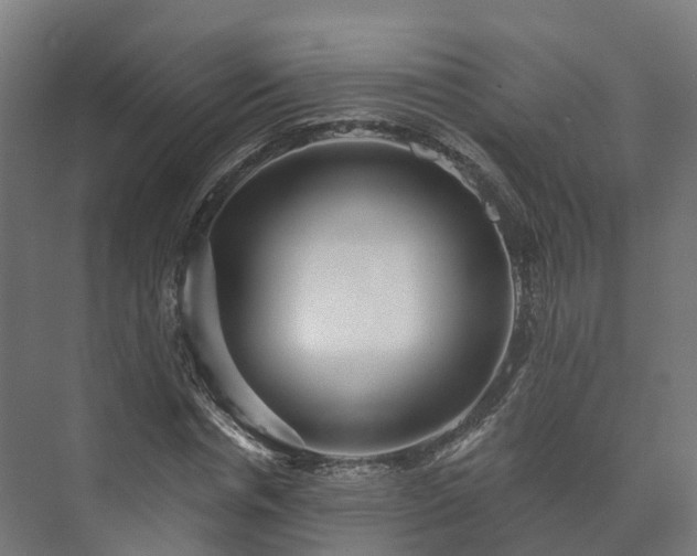 X0000073520826200608071119