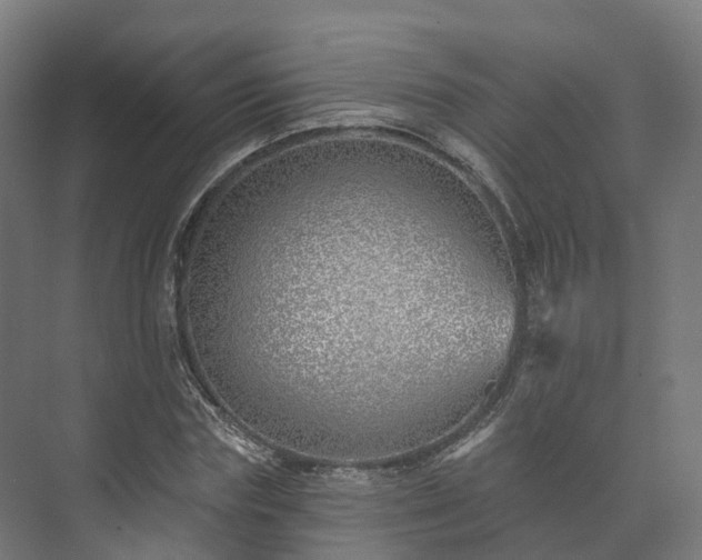 X0000073520827200608071119