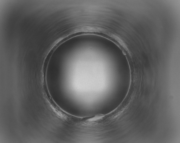 X0000073520837200608071119