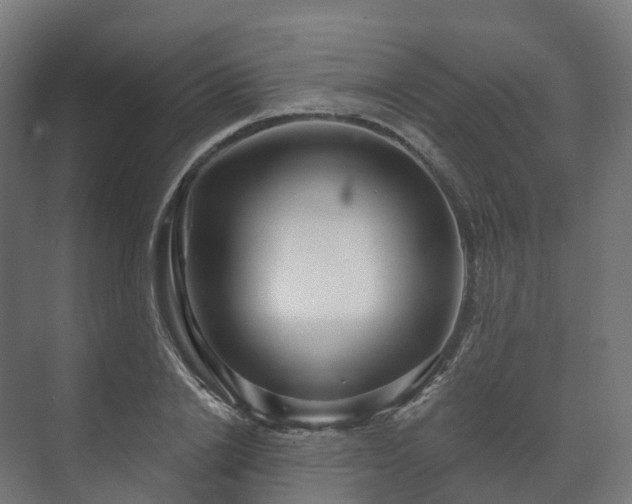 X0000073520838200608071119