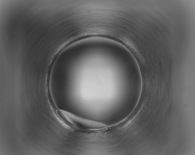 X0000073520842200608071119