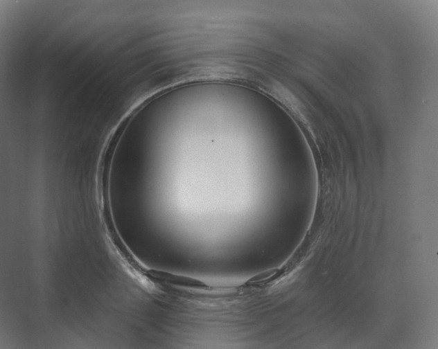 X0000073520843200608071119
