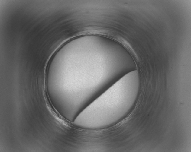 X0000073520844200608071119