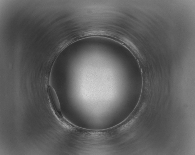 X0000073520849200608071119