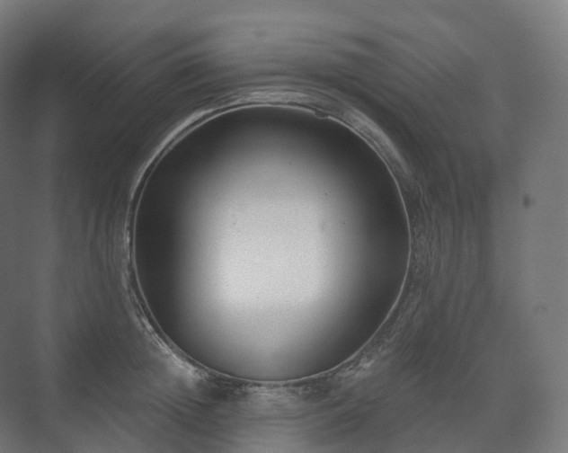 X0000073520852200608071120