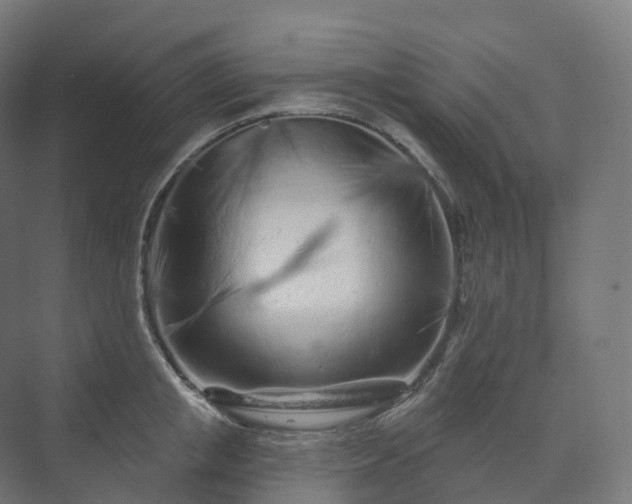 X0000073520853200608071120