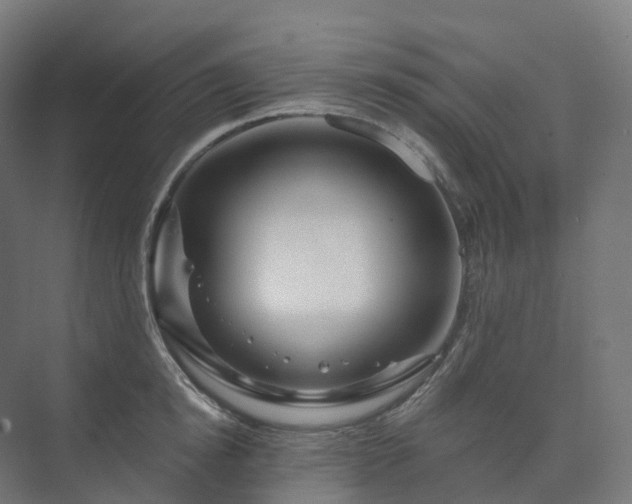X0000073520854200608071120