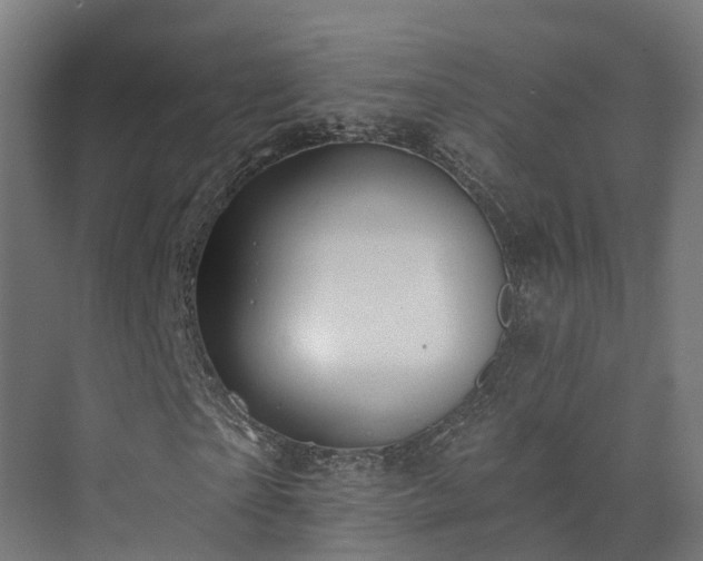X0000073520865200608071119