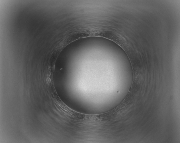 X0000073520866200608071119