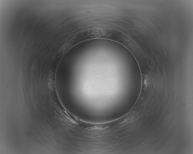 X0000073520867200608071119