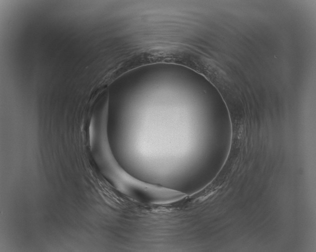 X0000073520868200608071119
