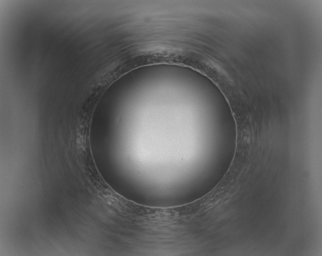 X0000073520869200608071119