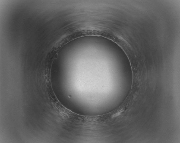 X0000073520870200608071119