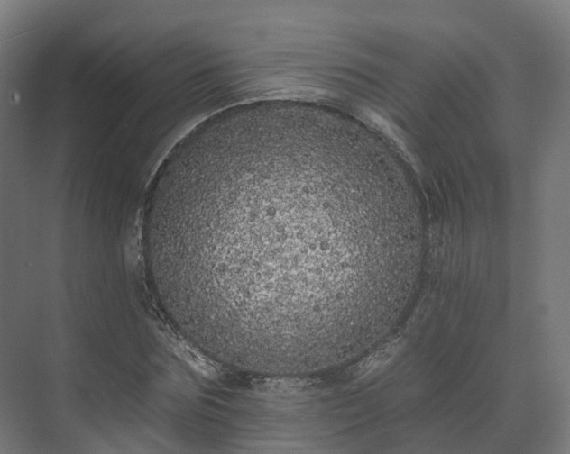 X0000073520875200608071119