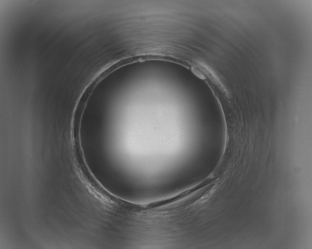 X0000073520884200608071119