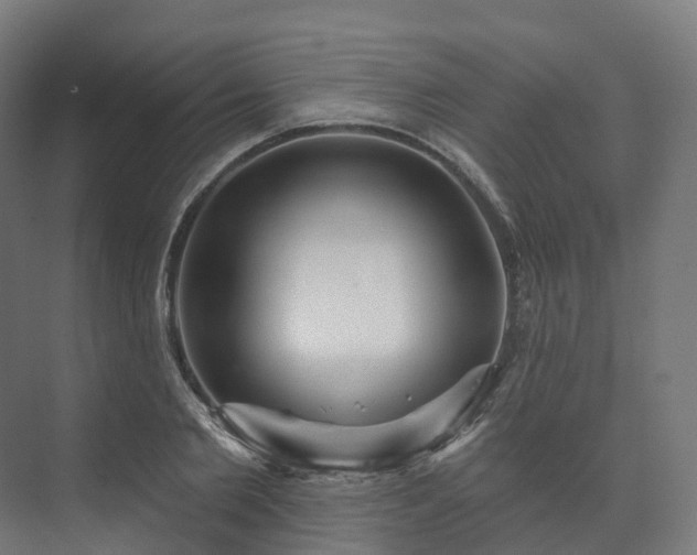 X0000073520885200608071119