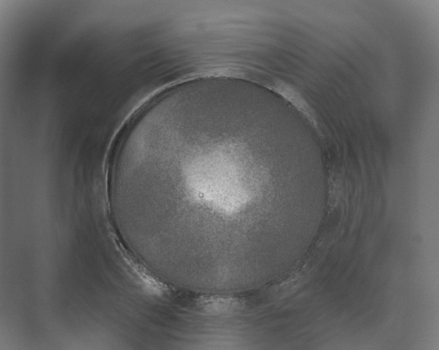 X0000073520886200608071119