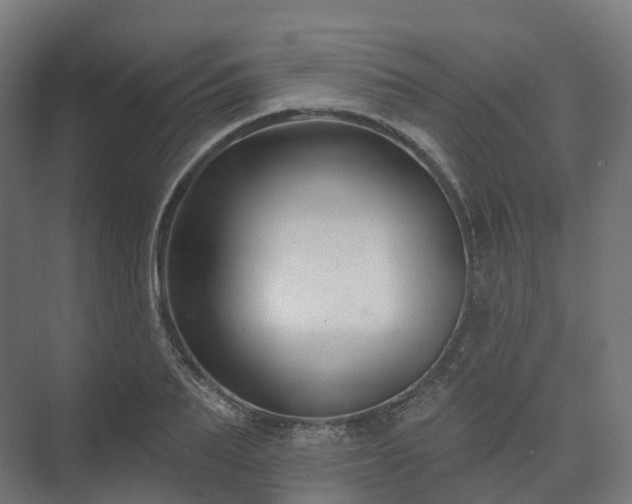 X0000073520887200608071119