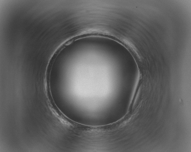 X0000073520888200608071119