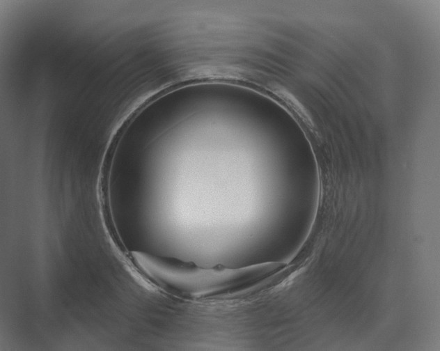 X0000073520893200608071118