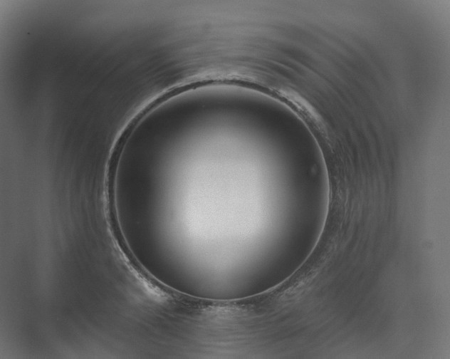 X0000073520894200608071118