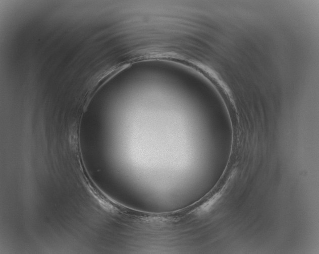X0000073520897200608071118