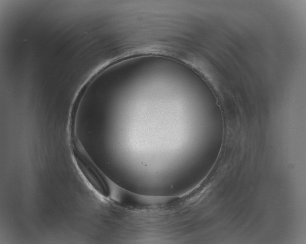 X0000073520902200608071118