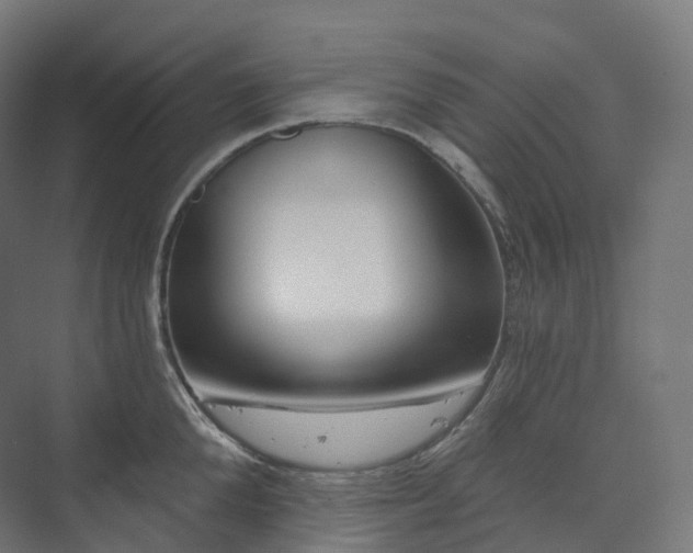 X0000073520904200608071118