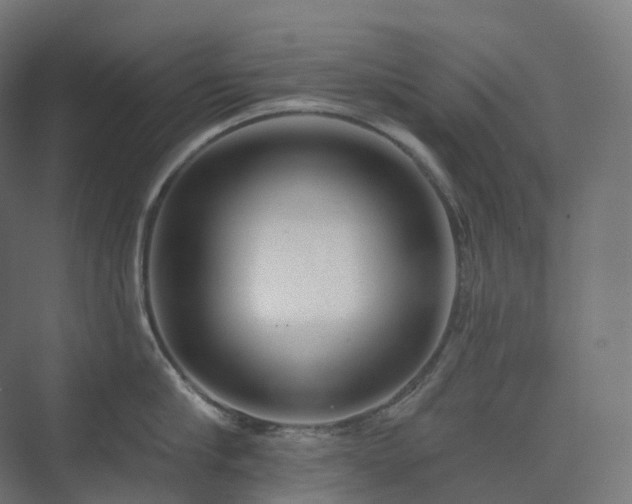X0000073520910200608071118