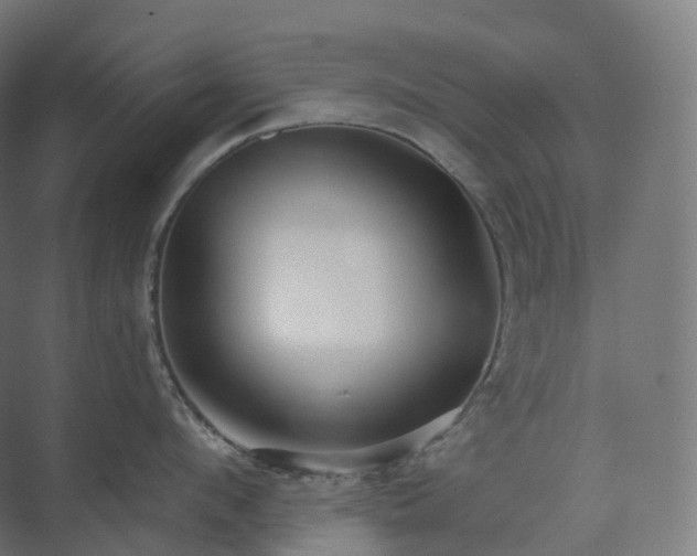 X0000073520912200608071118