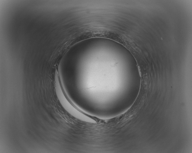 X0000073520916200608071117