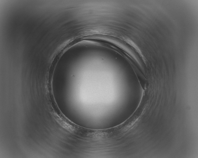 X0000073520930200608071118