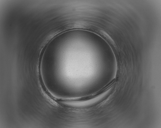 X0000073520938200608071118