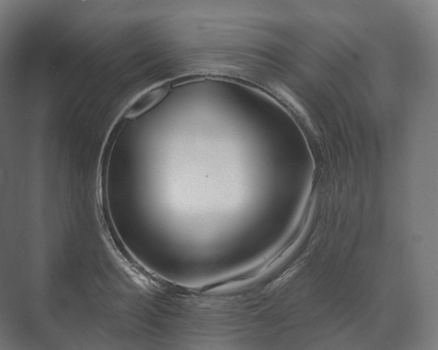 X0000073520940200608071118