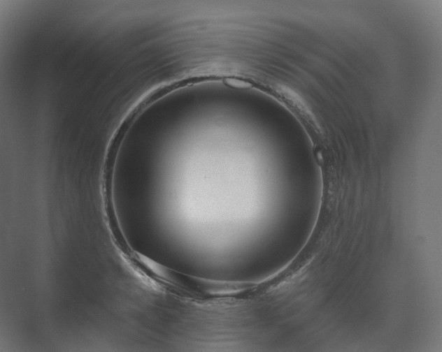 X0000073520942200608071118