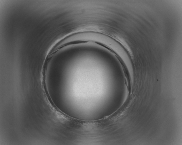 X0000073520944200608071118