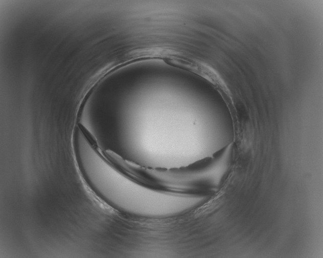 X0000073520946200608071118