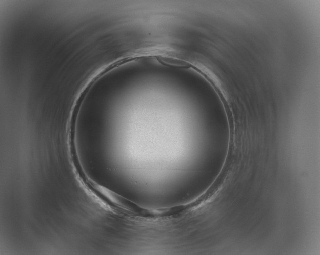 X0000073520949200608071118
