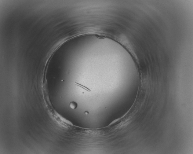 X0000073520954200608071118